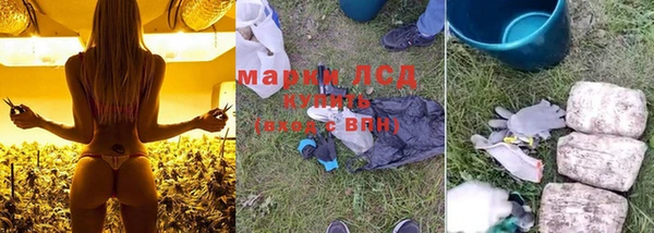 a pvp Белокуриха