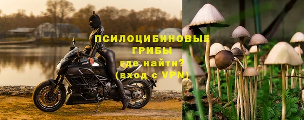 a pvp Белокуриха