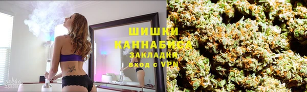 a pvp Белокуриха